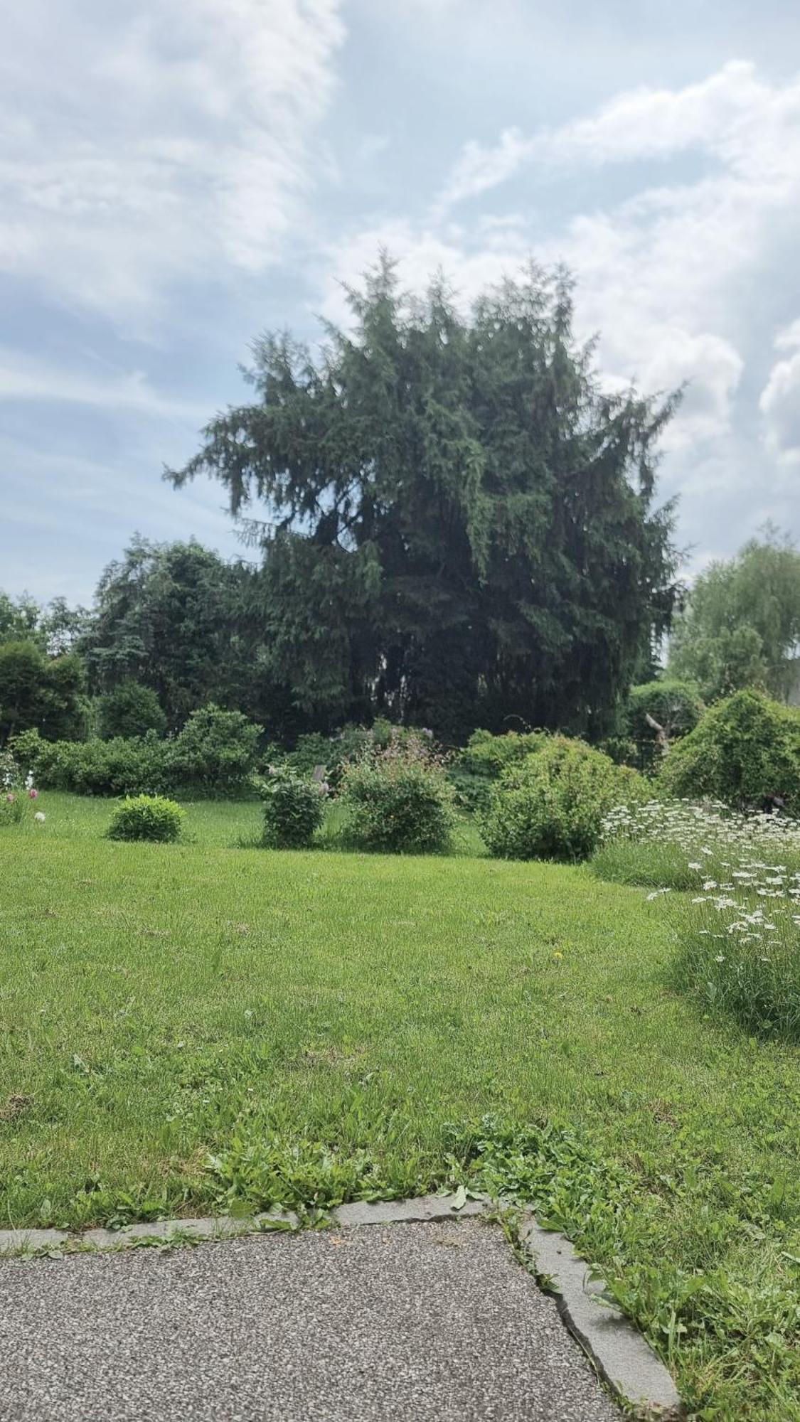 Stilvolle Gartenwohnung Im Villenviertel Villachs